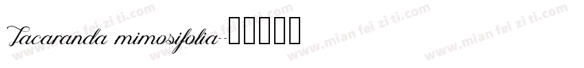 Jacaranda mimosifolia字体转换